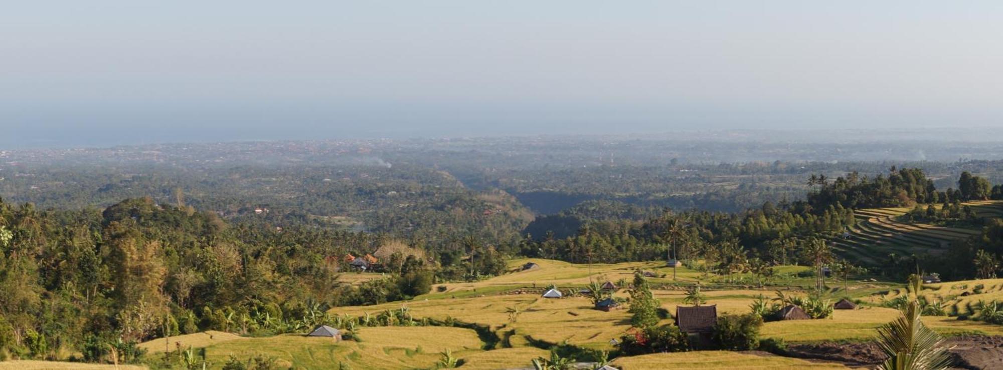 ホテル Lafyu Bali Singaraja エクステリア 写真