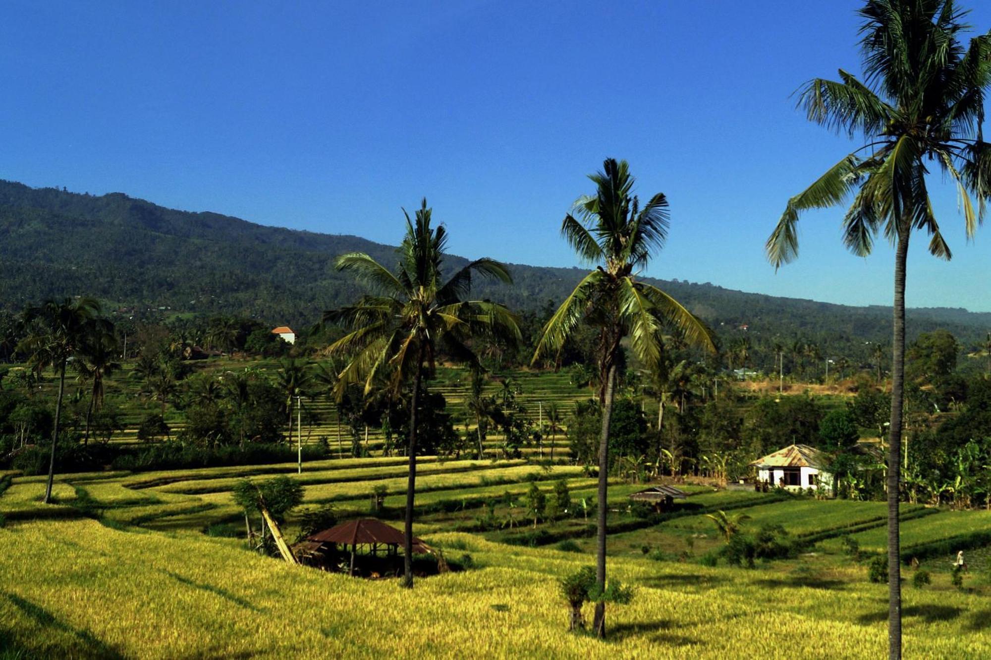 ホテル Lafyu Bali Singaraja エクステリア 写真
