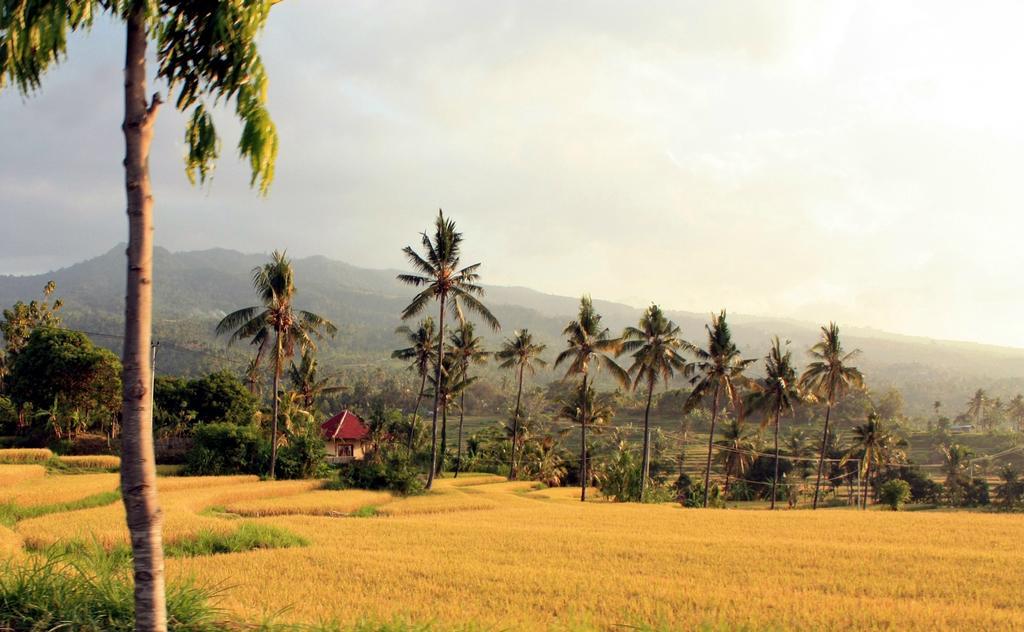 ホテル Lafyu Bali Singaraja エクステリア 写真
