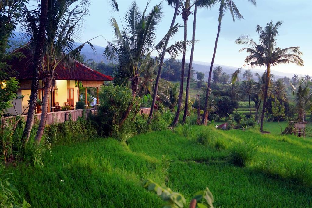 ホテル Lafyu Bali Singaraja エクステリア 写真