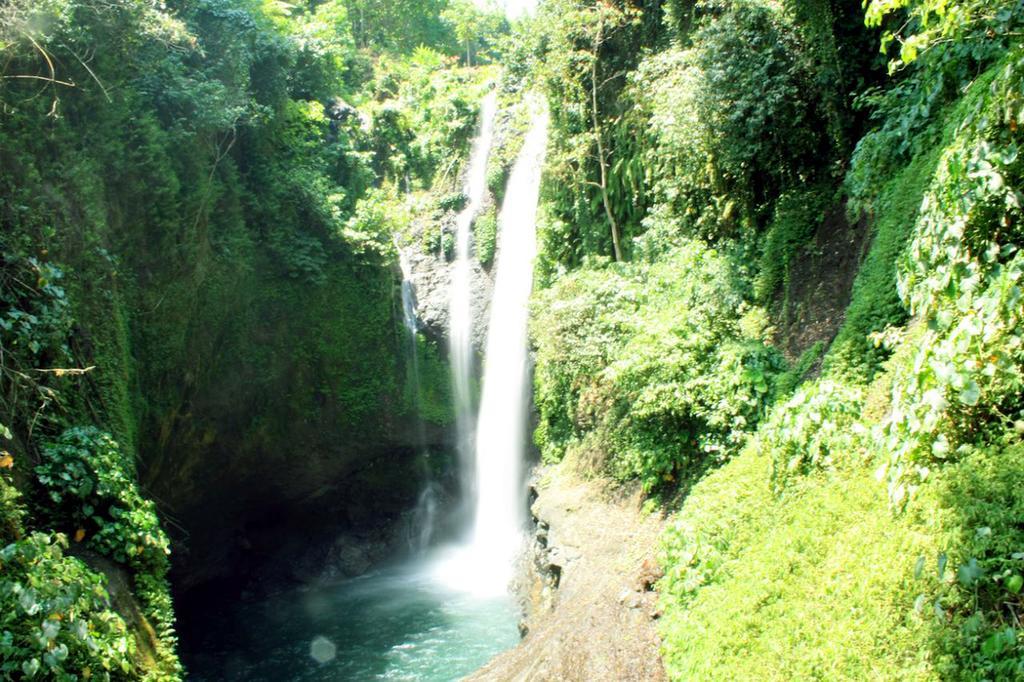 ホテル Lafyu Bali Singaraja エクステリア 写真