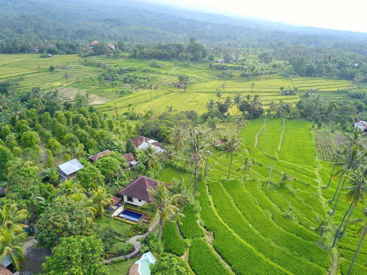 ホテル Lafyu Bali Singaraja エクステリア 写真