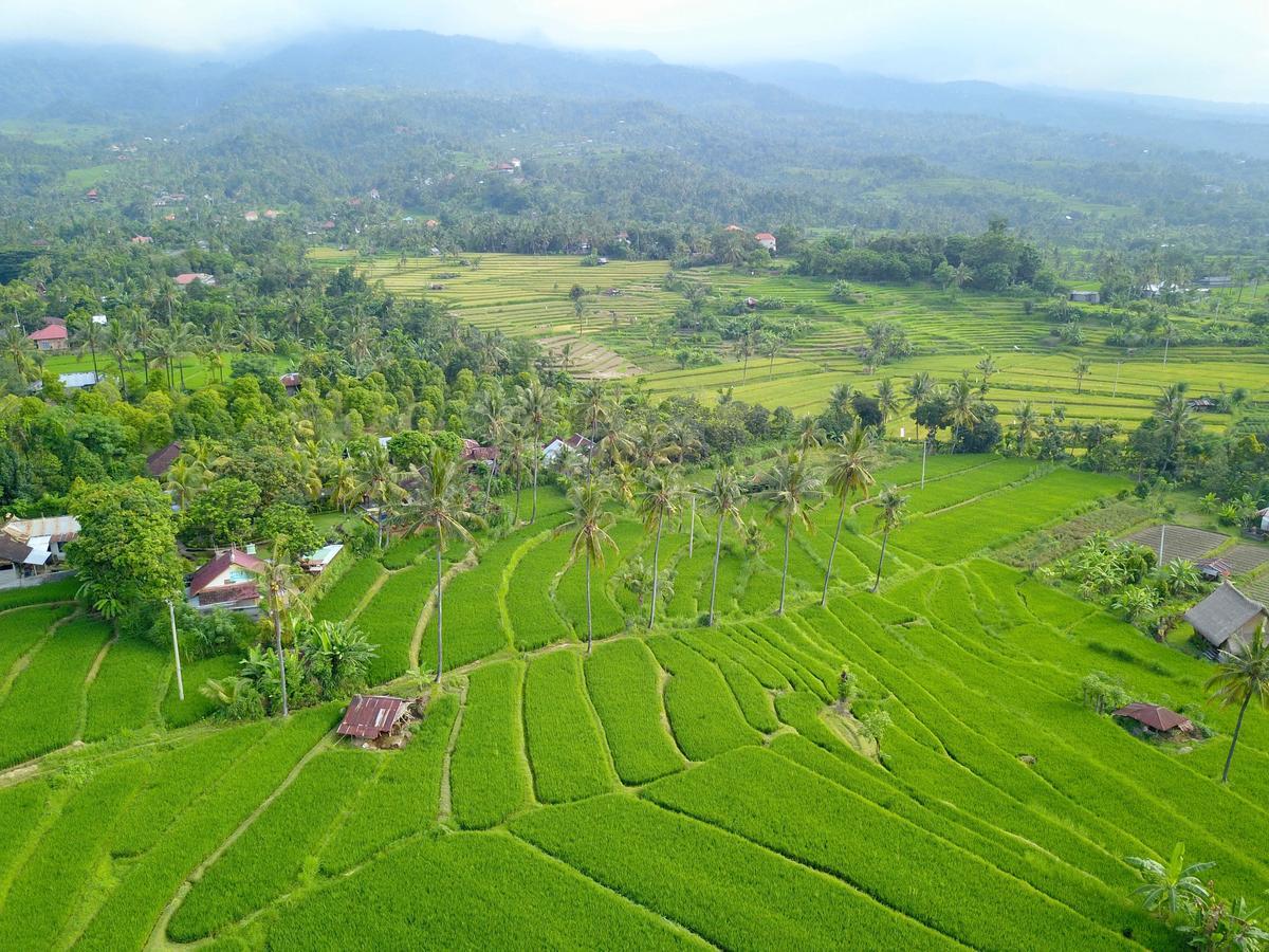 ホテル Lafyu Bali Singaraja エクステリア 写真